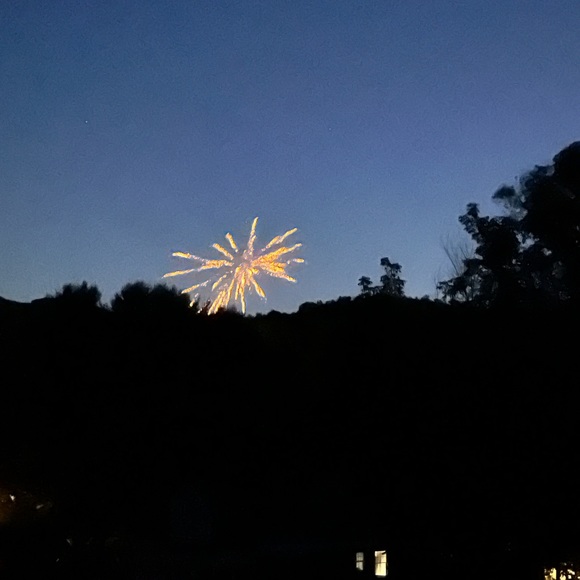 Meet your Posher, Paula - Picture 2 of 2